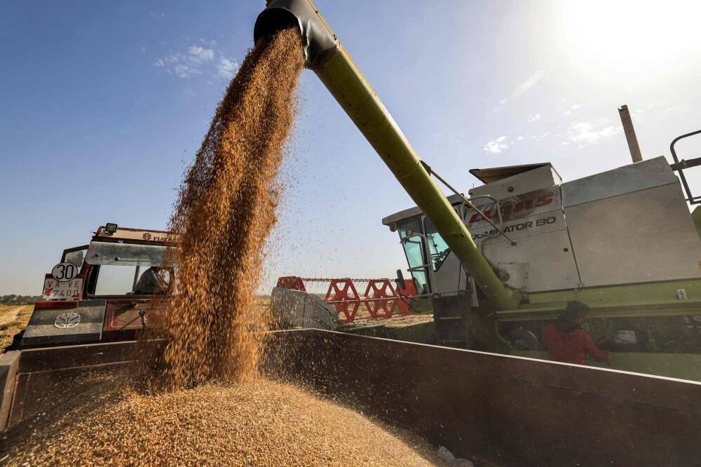 Фьючерсы на пшеницу растут в Чикаго после объявления Россией чрезвычайной ситуации