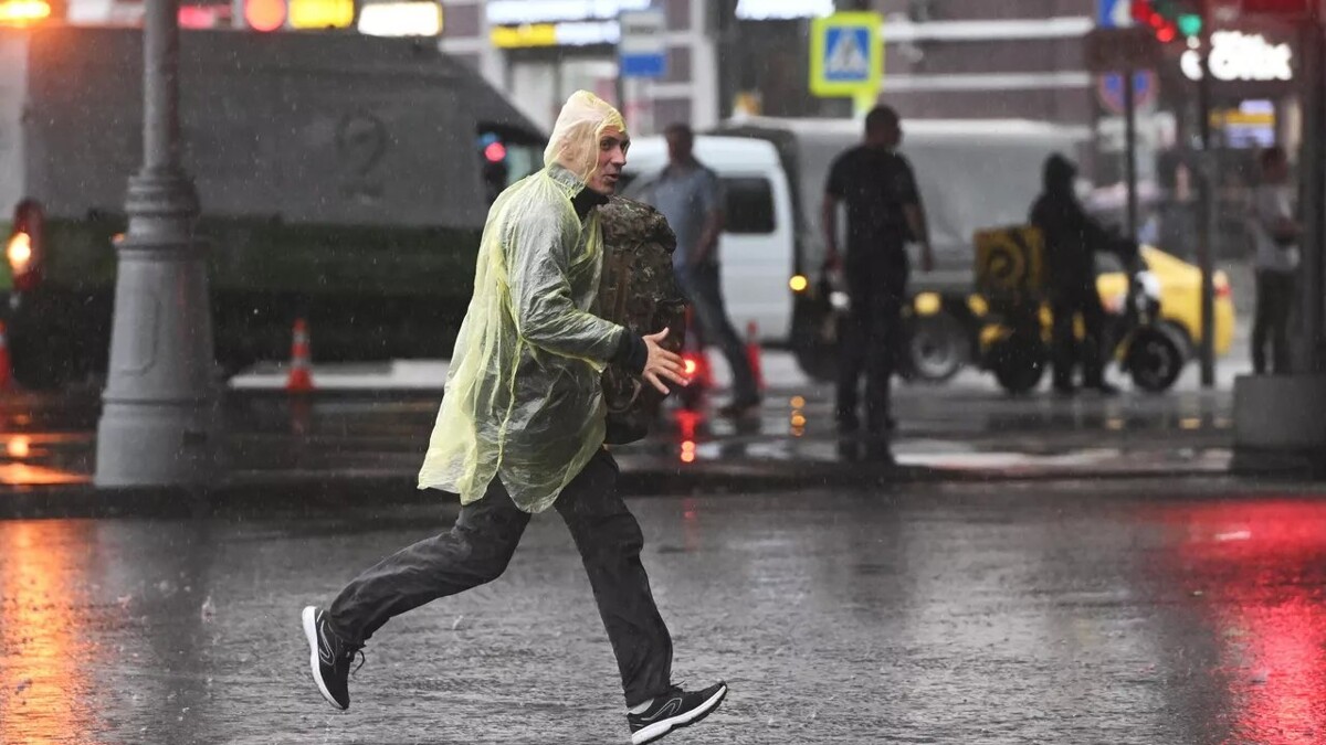 Человек погиб в северном районе Москвы из-за падающего дерева во время шторма