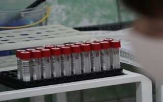 Новый пероральный препарат для диабета Дипиарон показываетобнадеживающие результаты