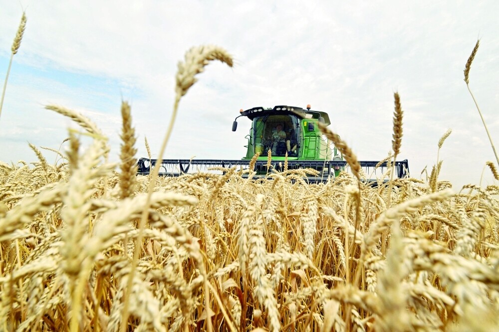 Российская компания подала иск к сирийской организации на $135 млн