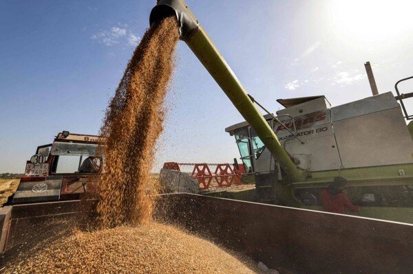 Фьючерсы на пшеницу растут в Чикаго после объявления Россией чрезвычайной ситуации