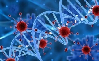 Русские ученые обнаружили пищевой ингредент, который замедляет рак