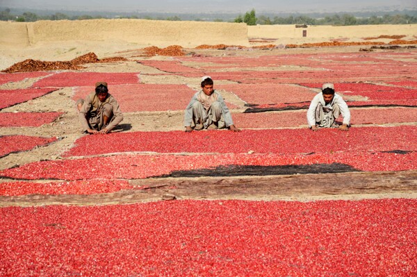 Лавров призвал Запад отменить санкции против Афганистана