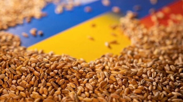 Moscow: 3% of Russia's grain harvest to come from new regions in Ukraine
