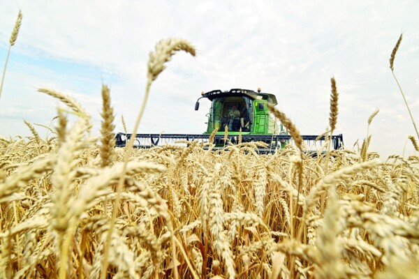 Российская компания подала иск к сирийской организации на $135 млн